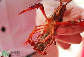 2017盱眙龍蝦節(jié)幾天？從什么時候開始到什么時候結(jié)束？