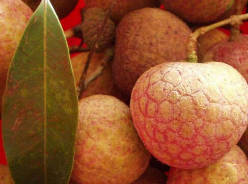 黑葉荔枝好吃嗎？黑葉荔枝多少錢一斤2017？