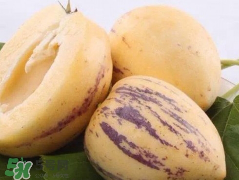 人參果怎么長成人形？人參果為什么長得像人