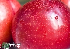 桃駁李是轉基因嗎？桃駁李是不是轉基因