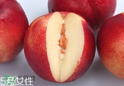 桃駁李是油桃嗎？桃駁李和油桃的區(qū)別