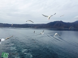 7月份去日本穿什么？七月份去日本穿什么衣服