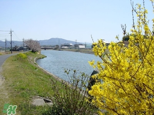 7月份去日本穿什么？七月份去日本穿什么衣服