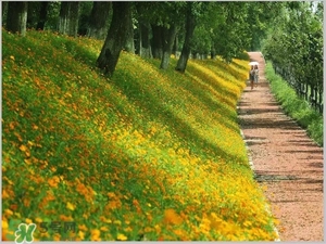 7月份去浙江穿什么？七月份去浙江穿衣搭配