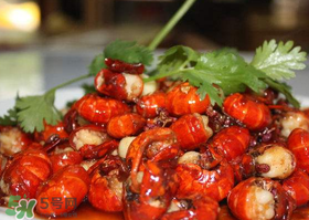 2017潛江龍蝦節(jié)什么時候開始？持續(xù)多久？