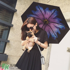 蕉下太陽傘怎么樣？蕉下小黑傘防曬效果好嗎？