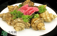 海螺是蒸還是煮？海螺的尾部是黃還是屎