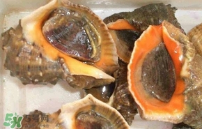 海螺是發(fā)物嗎？海螺是不是發(fā)物