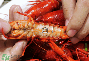 潛江小龍蝦和盱眙小龍蝦哪個(gè)有名？哪個(gè)好吃？