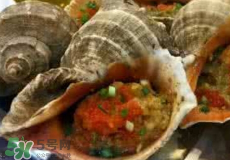 死海螺能吃嗎？死海螺可以吃嗎