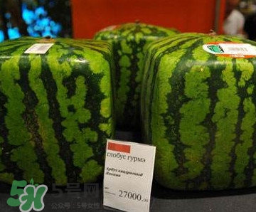 方形西瓜哪里有賣的？哪里可以買到方形西瓜