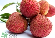 黑葉荔枝和妃子笑哪個(gè)好吃？黑葉荔枝和妃子笑的區(qū)別