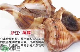死海螺能吃嗎？死海螺可以吃嗎