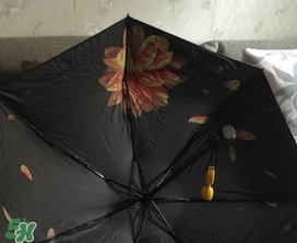 蕉下小黑傘能遮雨嗎？蕉下太陽傘能淋雨嗎？