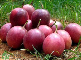 百香果好吃嗎？百香果什么味道？