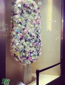 夢(mèng)龍冰淇淋多少錢(qián)一個(gè)？夢(mèng)龍冰淇淋價(jià)格