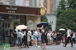 夢(mèng)龍冰淇淋多少錢(qián)一個(gè)？夢(mèng)龍冰淇淋價(jià)格