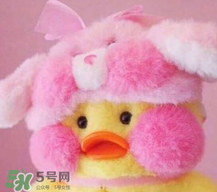 cafemimi玻尿酸鴨哪里有？cafemimi玻尿酸鴨怎么買？