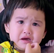 cafemimi玻尿酸鴨哪里有？cafemimi玻尿酸鴨怎么買？