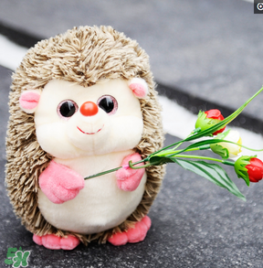 cafemimi玻尿酸鴨哪里有？cafemimi玻尿酸鴨怎么買？