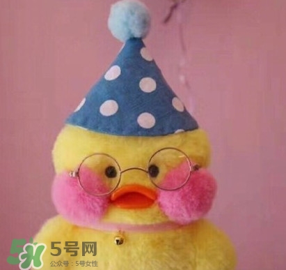 玻尿酸鴨哪里可以買到？一個(gè)玻尿酸鴨多少錢？