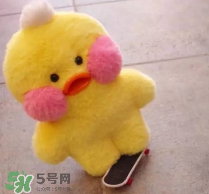 玻尿酸鴨哪里可以買到？一個(gè)玻尿酸鴨多少錢？