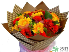 父親節(jié)可以送花嗎？父親節(jié)送什么花最合適？