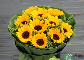 父親節(jié)可以送花嗎？父親節(jié)送什么花最合適？