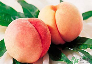 水蜜桃不能和什么一起吃？水蜜桃和什么不能一起吃？