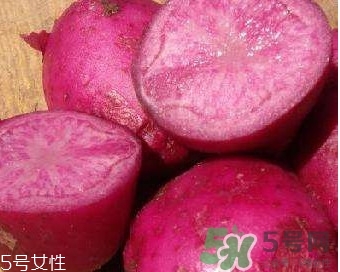 紅土豆是轉基因的嗎？紅土豆和正常土豆的區(qū)別