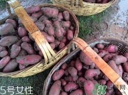 紅土豆是轉基因的嗎？紅土豆和正常土豆的區(qū)別