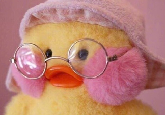 為什么叫玻尿酸鴨？cafemimi玻尿酸鴨名字的由來