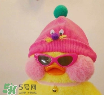 玻尿酸鴨是什么？cafemimi玻尿酸鴨為什么這么火