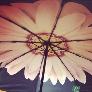 just mode是什么牌子？justmode摩登傘太陽傘怎么樣？