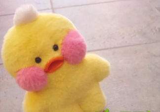 玻尿酸鴨是誰做的？玻尿酸鴨哪里可以下載