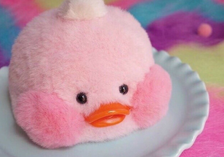 玻尿酸鴨哪里可以買到？一個玻尿酸鴨多少錢？