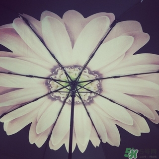 just mode是什么牌子？justmode摩登傘太陽傘怎么樣？