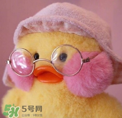 玻尿酸鴨是什么？cafemimi玻尿酸鴨為什么這么火