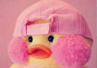 玻尿酸鴨是什么？cafemimi玻尿酸鴨為什么這么火