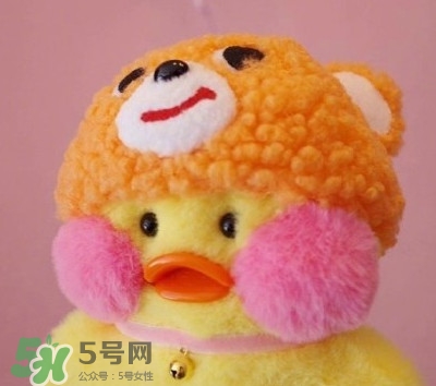 玻尿酸鴨是什么？cafemimi玻尿酸鴨為什么這么火