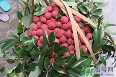 桂味和糯米糍哪個好吃？桂味荔枝和糯米糍荔枝區(qū)別