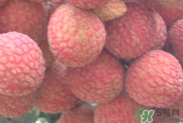 黑葉荔枝和白糖罌哪個好吃？黑葉荔枝和白糖罌區(qū)別