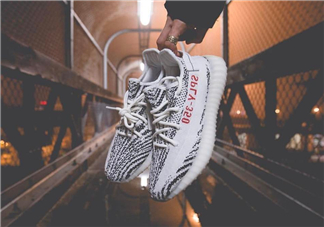 adidas yeezy 350 v2 boost zebra白斑馬多少錢？
