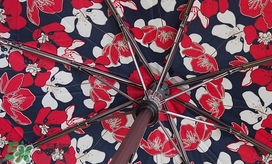 knirps是什么牌子？knirps太陽(yáng)傘怎么樣？