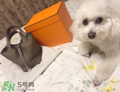 菜籃子包是什么牌子？菜籃子包是哪個品牌的？