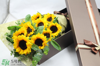 父親節(jié)可以送向日葵嗎？父親節(jié)送向日葵好嗎？