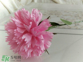 父親節(jié)可以送康乃馨嗎？父親節(jié)送康乃馨好不好？