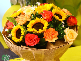 2017向日葵多少錢一朵？向日葵多少錢一支2017？