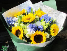 2017向日葵多少錢一朵？向日葵多少錢一支2017？