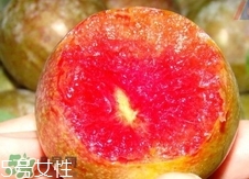 九仙桃怎么保鮮？九仙桃可保鮮多長時間